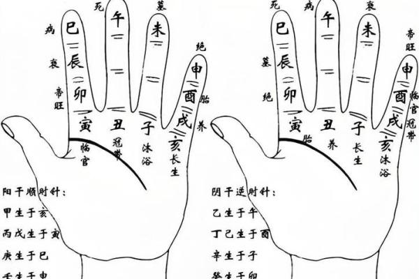 如何通过掌中排盘精准预测未来？专家解读
