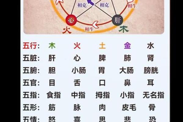 特五行属什么？五行知识完全解析