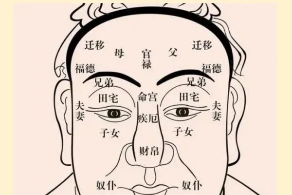 斗数流时排盘：解析命盘中的时空密码，助你逆袭人生