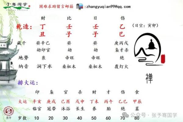 张字五行属性大公开