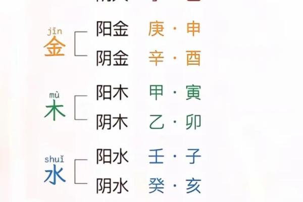 张字五行属性大公开
