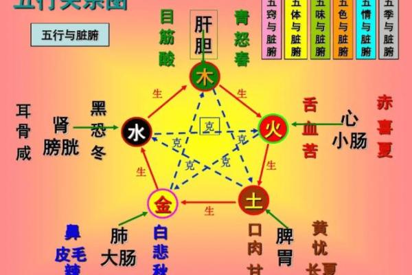 五行解析：观字背后的五行属性揭秘
