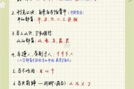 属马人的五行命理揭秘：揭秘五行的神奇力量
