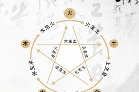 修字五行属性揭秘