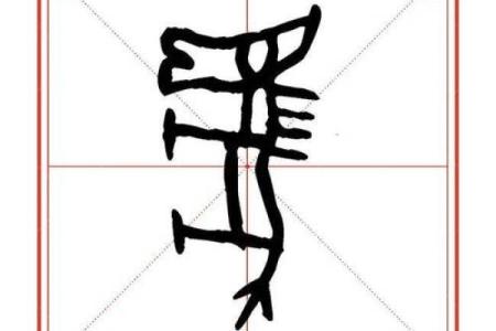 马字与五行的神秘联系