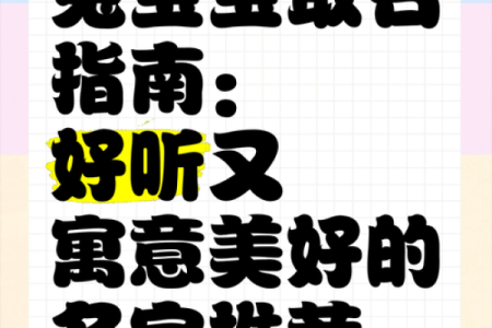 如何为兔子取个既可爱又独特的名字