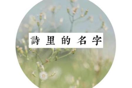 娄姓家长必知的起名技巧，让孩子从此与众不同
