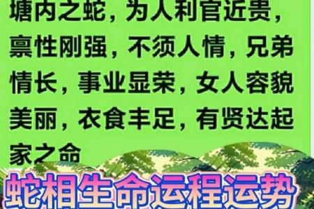 刚强之命：揭秘不凡命运的神秘力量