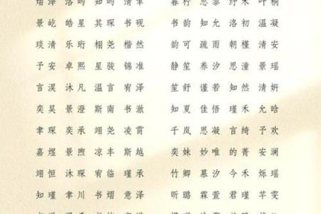 属蛇公司取名方法：如何让名字更具吉祥寓意