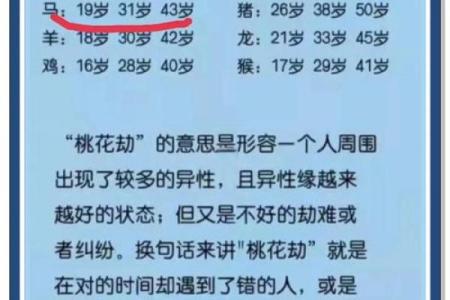 如何运用天干有力，提升你的运势
