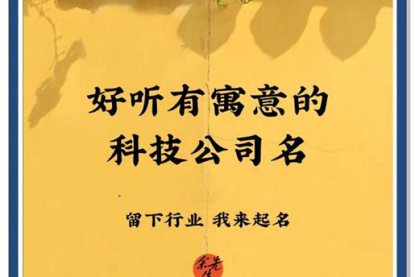 如何为电子科技公司取个既独特又有吸引力的名字？