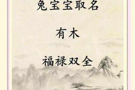 深入了解枂字的五行属性，揭秘其神秘含义