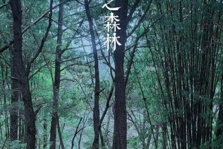 你知道树字五行属什么吗？来看正确解答