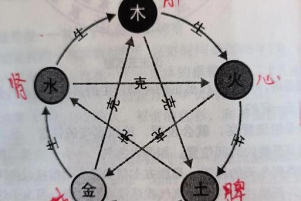 了解佑字五行属性的秘密
