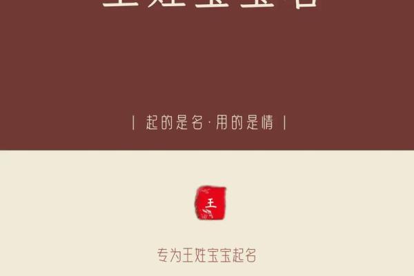 鸡年王姓男孩女孩起名技巧
