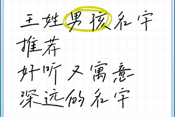 鸡年王姓男孩女孩起名技巧