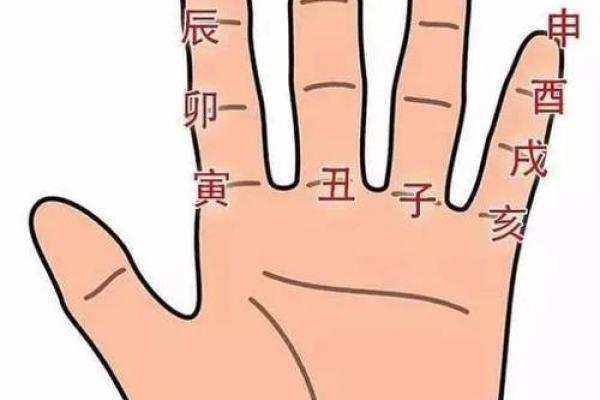 探索手掌推天干：从手掌到星空的命理密码