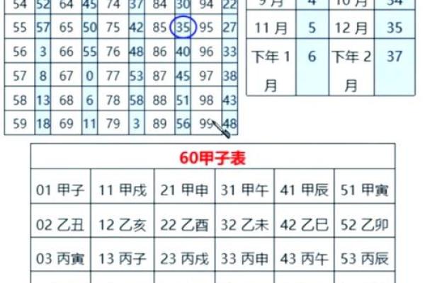 探索手掌推天干：从手掌到星空的命理密码
