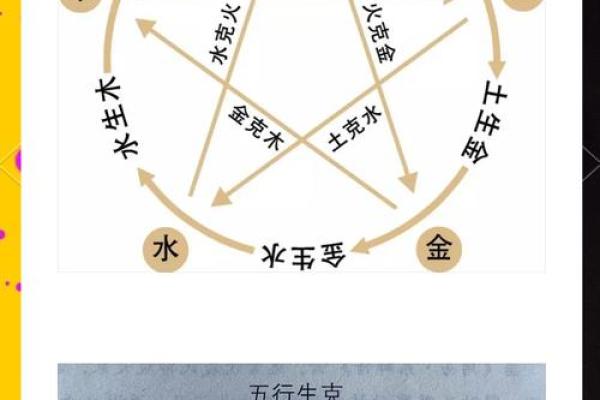 安五行属性与性格的关系