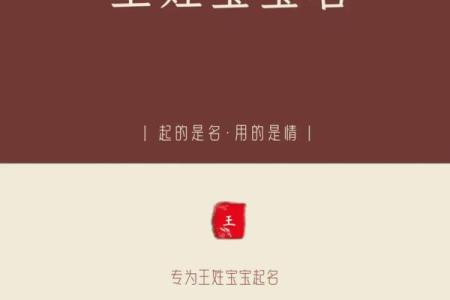 鸡年王姓男孩女孩起名技巧