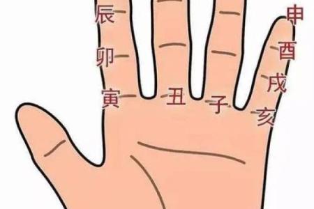 探索手掌推天干：从手掌到星空的命理密码