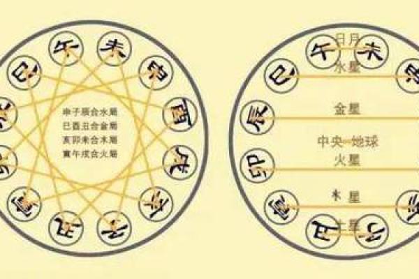 从十二宫到天干地支，探索古老的命理智慧