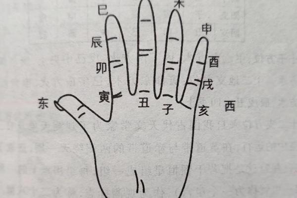 从十二宫到天干地支，探索古老的命理智慧