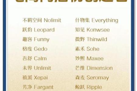 你的电商公司名字能否脱颖而出？命名指南来帮忙