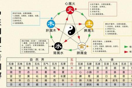 五行学说深度剖析：五行属什么，如何影响你的生活
