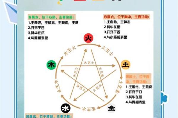 亦五行属什么？带你走进五行世界的奥秘