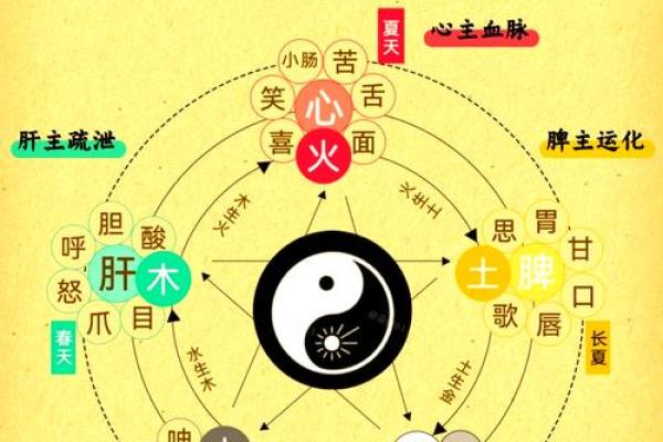 如何通过五行属性改善健康和财富