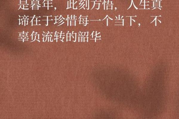 暮年独守，孤独命路：揭秘人生沧桑
