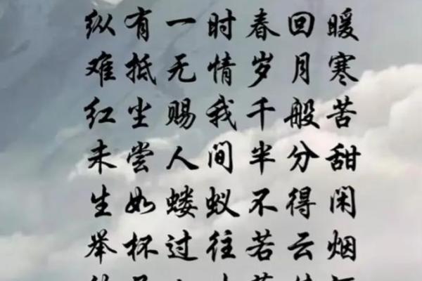 暮年独守，孤独命路：揭秘人生沧桑