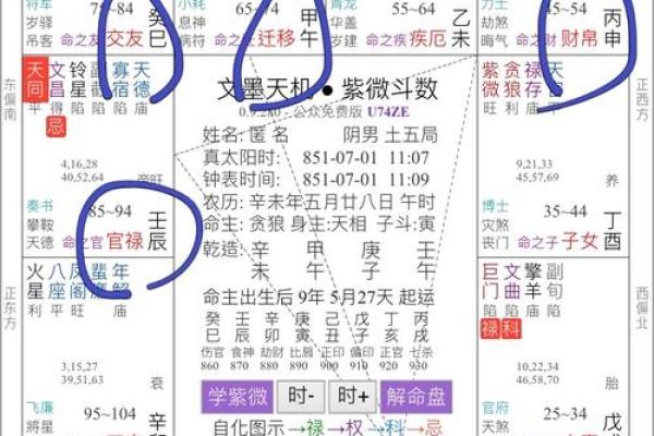 紫微命盘中的武曲星：命宫解析与人生指引