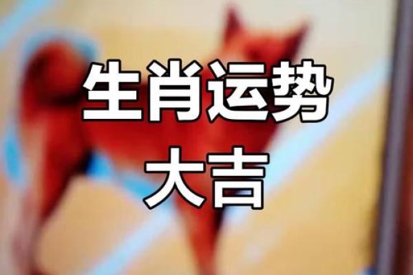 1996年6月运势揭秘：揭秘你的六月命运势大爆发