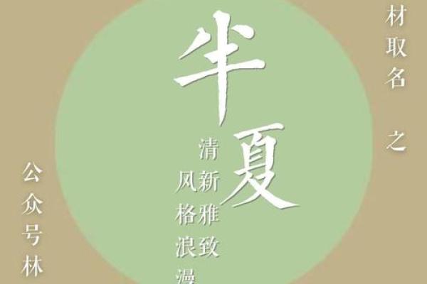 岳阳公司起名必看：让品牌更具辨识度的命名法则