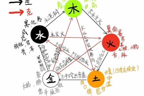记字五行到底属什么？揭秘其中的奥秘