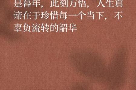 暮年独守，孤独命路：揭秘人生沧桑