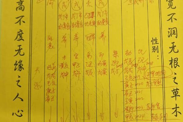 解密八字身旺，如何借势而为走向辉煌