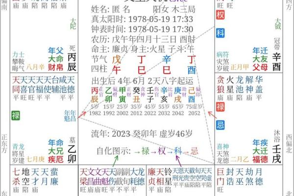 解密皇家紫微斗数排盘APP，精准预测你的命运轨迹