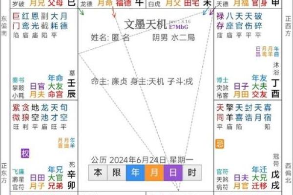 解密皇家紫微斗数排盘APP，精准预测你的命运轨迹