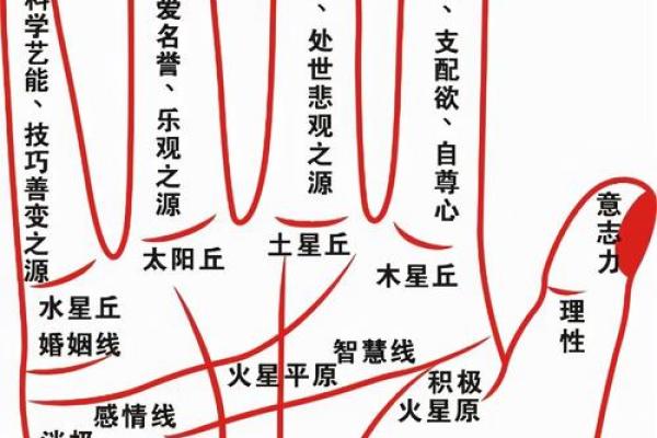 命理揭秘：病星背后的惊人真相