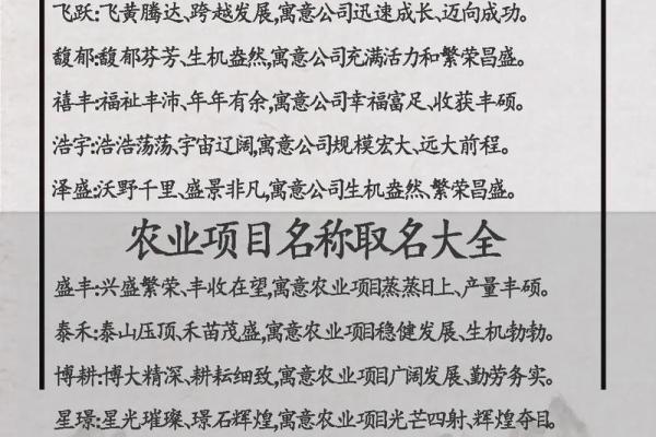 想让公司名深入人心？这取名方法你必须知道