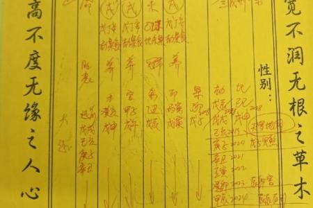 解密八字身旺，如何借势而为走向辉煌
