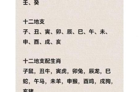 如何通过天干大有看人生走势