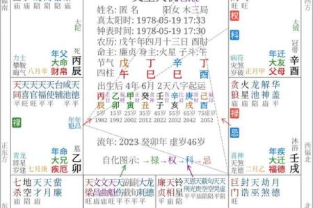 解密皇家紫微斗数排盘APP，精准预测你的命运轨迹
