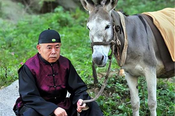 揭秘秀才命：文采飞扬，金榜题名的人生轨迹