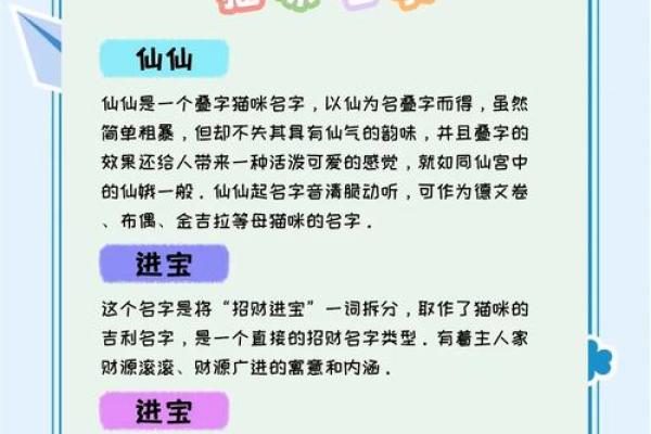 猫咪起名小技巧，轻松选出最合适的名字
