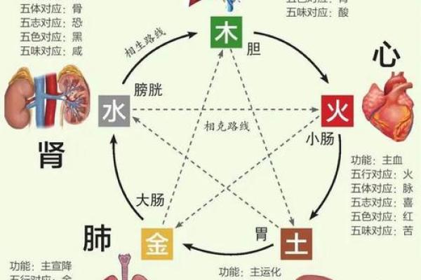 水的天干与五行运势的惊人联系