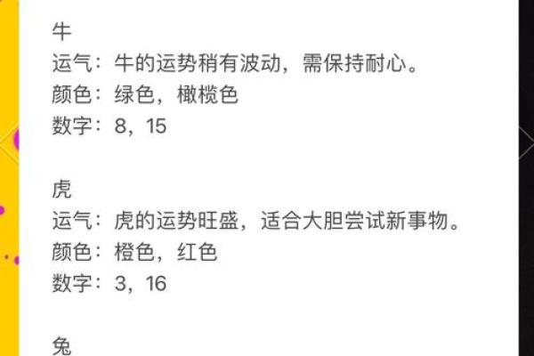 29岁：揭秘你的运势密码，解码人生新篇章